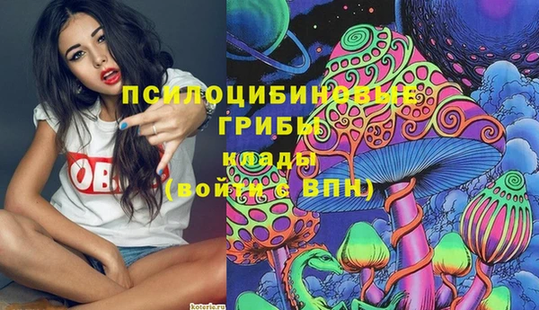 MDMA Белокуриха